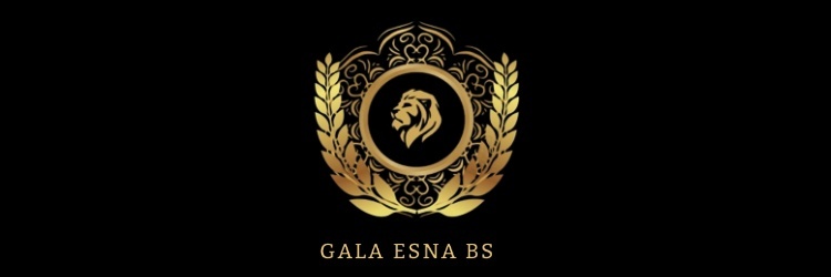 Gala de l'ESNA BS