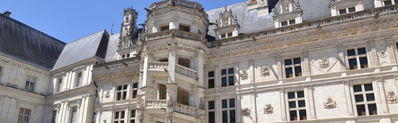 Martine Desfontaines, D’Amboise à Blois et  Chambord, les demeures d’un roi nomade