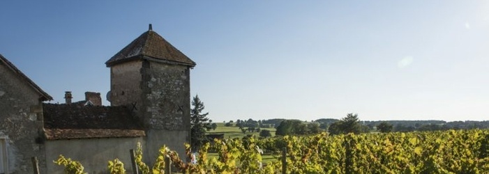 Afterwork découverte des vins de Saint-Pourçain du domaine de Bellevue à LAPALISSE