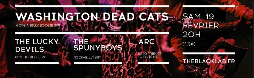 WASHINGTON DEAD CATS + THE LUCKY DEVILS + THE SPUNYBOYS + ARC