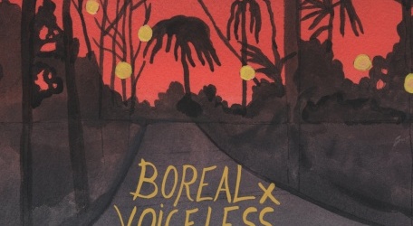 Boreal & Voiceless w. Aber