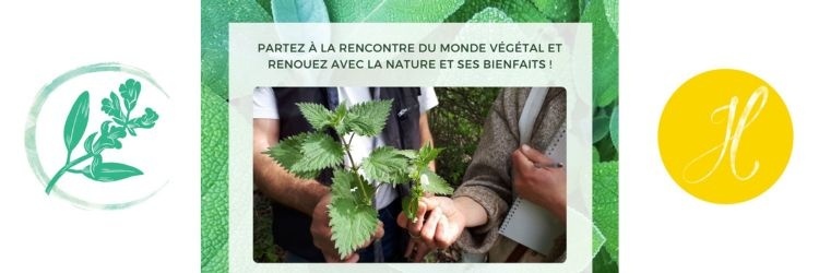 Conférence "Renouez avec le monde végétal et ses bienfaits"