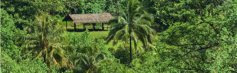 La Terre en Polynésie - Jour 2 - La propriété foncière à l’épreuve des liens de parenté
