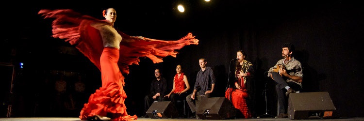 Pasion Flamenca - Danse