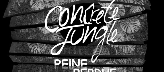 Meta - Crackhouse : Peine Perdue (concert) / Maryisonacid & Dauwd / Massue Moto,Why Pink & L'Amateur