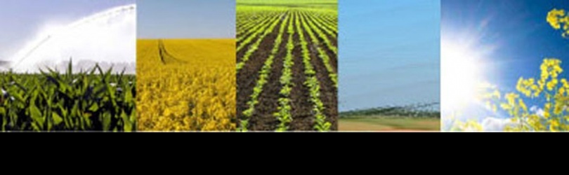 Changement climatique : pourquoi l'agriculture est concernée ?