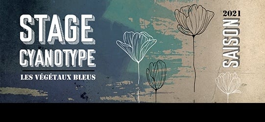 Cyanotype - Les végétaux bleus