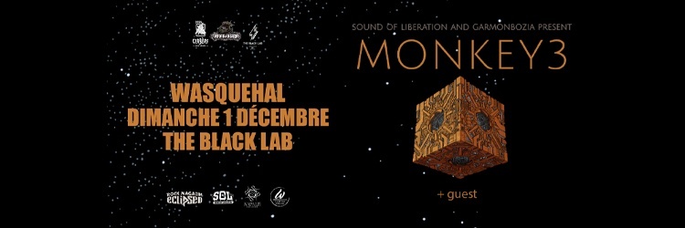 Monkey3 + Guest // Wasquehal, The Black Lab