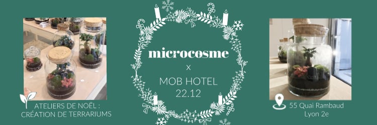 Atelier de création Terrarium moyen modèle - Microcosme x MOB HOTEL Lyon