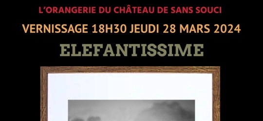 VERNISSAGE EXPOSITION "ELEFANTISSIME" by Corinne Rivollat - 28/03/2024 - 18h30 - Château Sans Souci