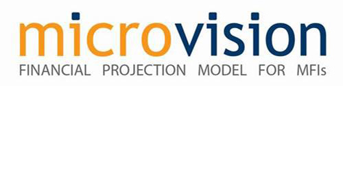 Workshop: Business planning and financial & social projections with Microvision