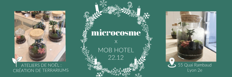 Atelier de création Terrarium grand modèle - Microcosme x MOB HOTEL Lyon