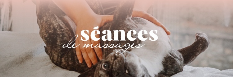 Massage Canin