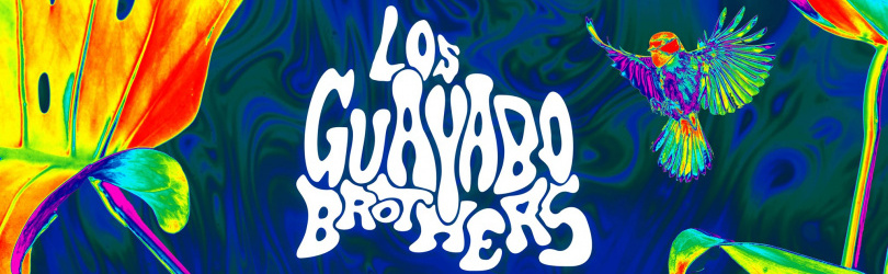 Los Guayabo Brothers • La Java