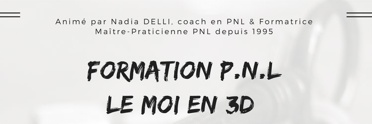 FORMATION PNL # Le MOI en 3D