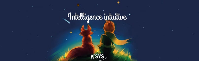WebCONFERENCE  "Intelligence intuitive" avec Cairole Kralj