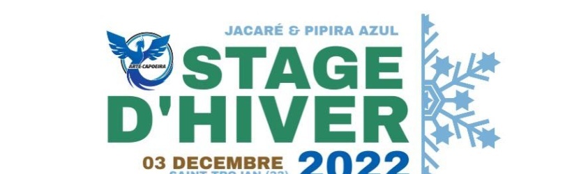Stage d'hiver Arte-Capoeira 2023