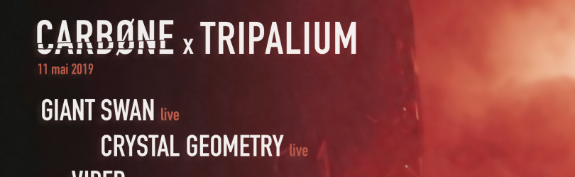 CARBØNE x Tripalium Corp : Giant Swan & Crystal Geometry