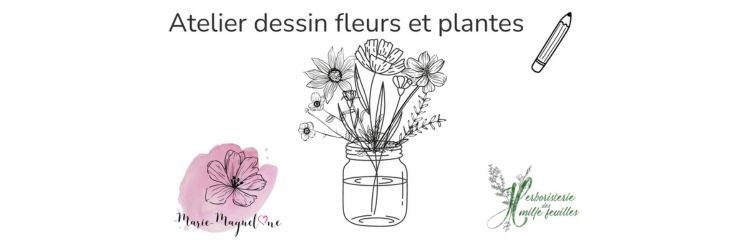 Atelier enfant: dessin de plantes et fleurs