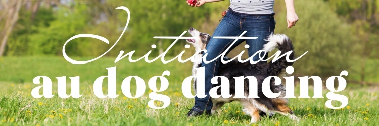 Initiation dog dancing