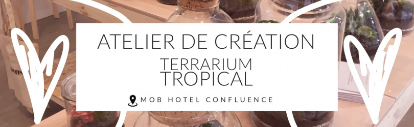 Atelier de création Terrarium Tropical - Microcosme x MOB HOTEL Lyon