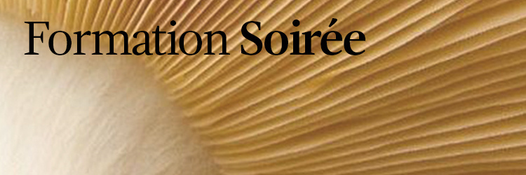 Soirée Mycothérapie - Avignon