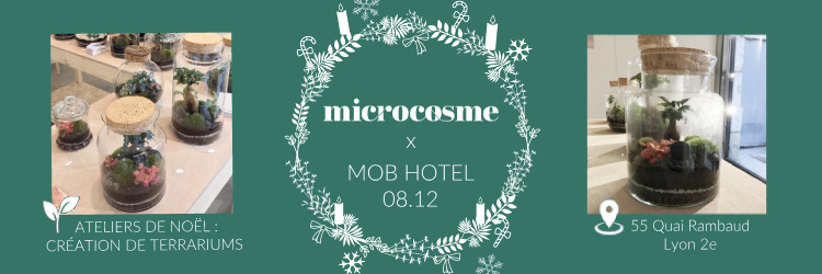 Atelier de création Terrarium moyen modèle - Microcosme x MOB HOTEL Lyon